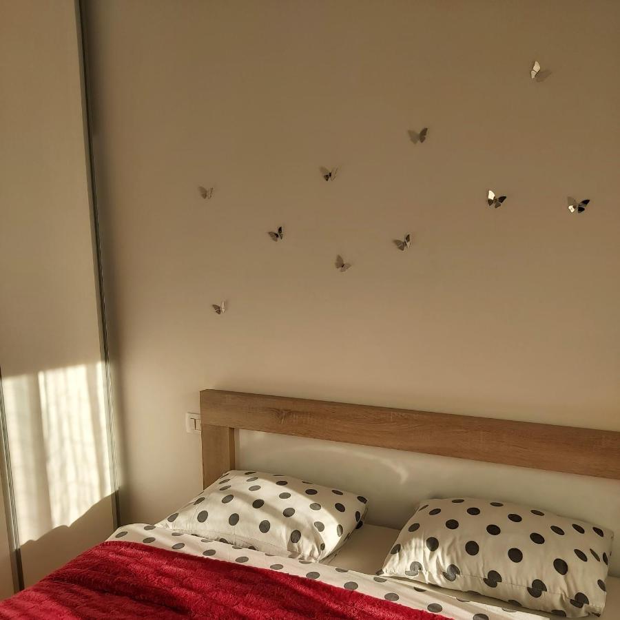 Apartman Miss T พอดโกริกา ภายนอก รูปภาพ